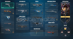 Mainlemelik Hesap(Faturalarla Beraber)