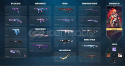 Mainlemelik Hesap (YENİ SKİNLER)