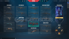 2100 VPLİ MAİNLEMELİK İLK SAHİBİNDEN HESAP