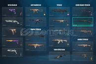 Mainlemelik mailli hesap GÜZEL SKİNLER VE PASS