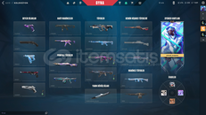 ✨MAİNLEMELİK MÜKEMMEL HESAP✨