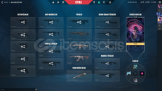 Mainlemelik Skinli Silver Hesap