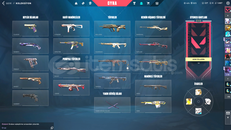 MAİNLENMELİK 25KLIK FULL HESAP!!!