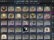 MAİNLİK 10 SENELİK BİR DOLU MADALYALI CS HESABI