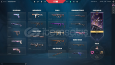 MAINLIK 27K VP DEĞERLİ KELEBEKLİ HESAP!