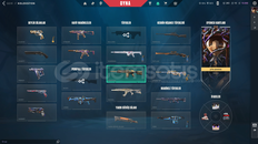 MAİNLİK COK VANDALLI HESAP