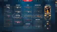 MAİNLİK DİA TEMİZ HESAP