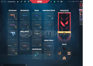 MAİNLİK DOLU HESAP