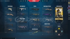 MAİNLİK DOLU HESAP TR