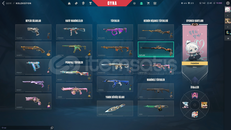 MAİNLİK DOPDOLU HESAP 5 VANDAL 3 BIÇAK