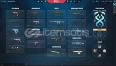 MAİNLİK F/P VALORANT HESABI