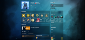 MAİNLİK FACEİT 10 TÜRKİYE HESABI