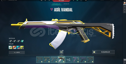 Mainlik hesap mailli kendi hesabım 