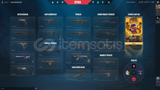 MAİNLİK İMMORTAL HESAP 