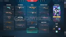 mainlik nerdeyse full hesap 