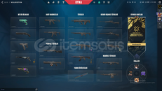 Mainlik RGX kelebek-5 vandal