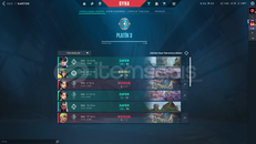 Mainlik Sağlam Valorant Char 322 Lv.