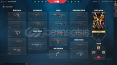 MAİNLİK SATILIK HESAP