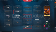 MAİNLİK SIRÇİÇEĞİ KUNAİ'li TR SERVER DOLU HESAP