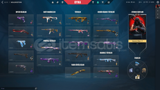 FAZ KORUYUCU FULL – MAİNLİK HESAP FAZ KORUYUCU FULL – MAİNLİK HESAP