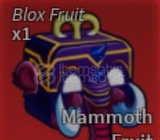 mammoth fruit