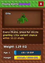 Mantis Pet