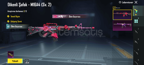 MASKARALİ 5KÜPLÜ GELİSİM PAKETİ DURUYOR