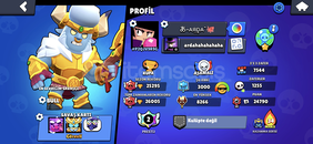 MASTER,35RANK,PRESTİJ 