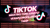 TIKTOK MAVİ TİKLİ HESAPLARDAN TAKİP