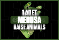 ⭐ Medusa | Raise Animals