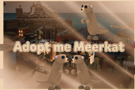 ⭐ Meerkat En ucuz (tane fiyatı)⭐