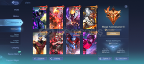 ⭐ MEGA 2 698 SKINLI DOPDOLU TEK BAG HESAP!!!! 