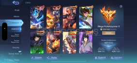 MEGA 2 DOLU HESAP İSTEYENLERE ÇOK UYGUNA