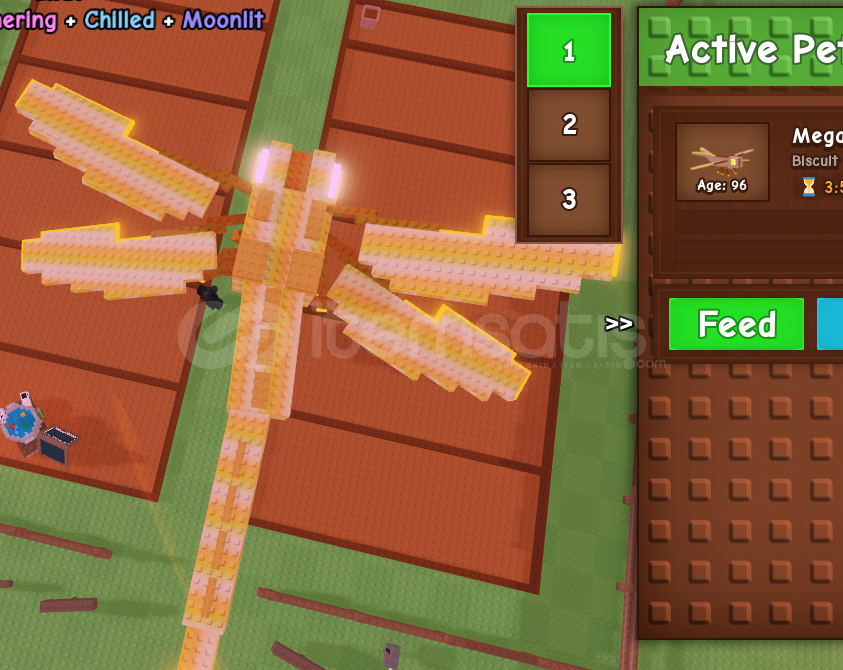 MEGA DRAGONFLY MEGA DRAGONFLY