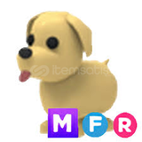 MEGA FLY RİDE DOG