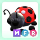 MEGA FLY RİDE LADYBUG MEGA FLY RİDE LADYBUG
