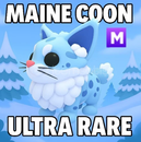 MEGA Maine Coon / ADOPT ME!