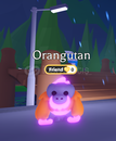 Mega Orangutan (No potion)