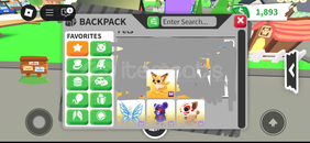 ✨️Mega Paket✨️