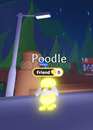 Mega Poodle (No potion)