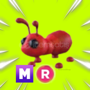 Mega R Ant En Uygunu! 