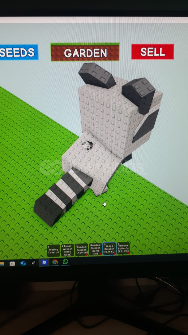 mega raccoon mega raccoon