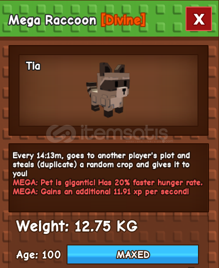 Mega Raccoon AGE 100 GAG Mega Raccoon AGE 100 GAG