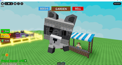 Mega racoon age 42 yaklaşık 8kg