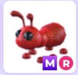 MEGA RİDE ANT