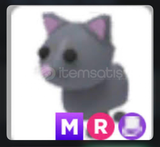 MEGA RİDE CAT 