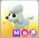 mega ride poodle mega ride poodle