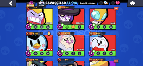 Meka Edgarlı Işıkyılı Surgeli Hesap