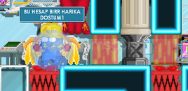 MERCY WİNGLİ SÜPER HESAP