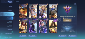 MESHUR 3 291 SKIN MAX YUCE